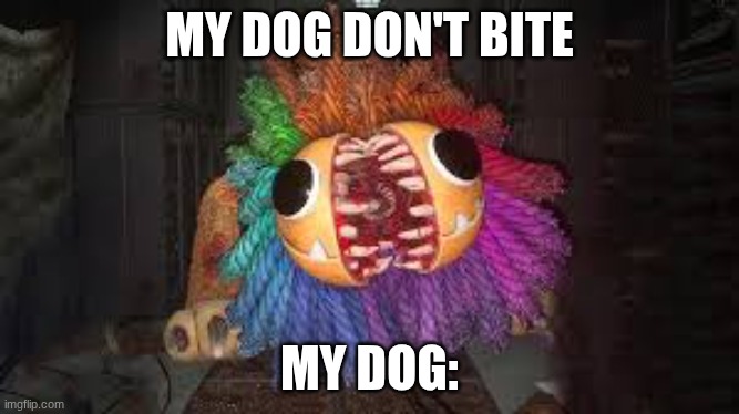 doggy | MY DOG DON'T BITE; MY DOG: | image tagged in yarnaby,lion | made w/ Imgflip meme maker