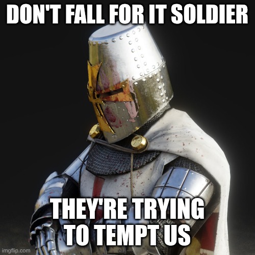 DON'T FALL FOR IT SOLDIER THEY'RE TRYING TO TEMPT US | image tagged in paladin | made w/ Imgflip meme maker