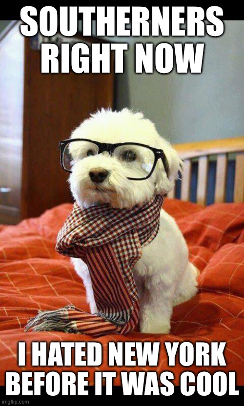 Intelligent Dog Meme | SOUTHERNERS RIGHT NOW; I HATED NEW YORK BEFORE IT WAS COOL | image tagged in memes,intelligent dog | made w/ Imgflip meme maker