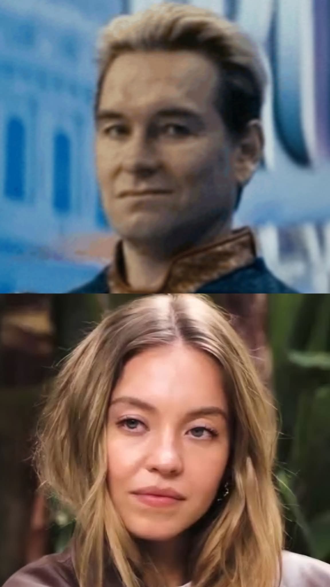 Disgusted Sweeney Blank Meme Template