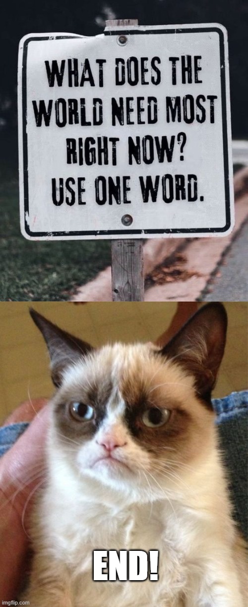What the World Needs Now....... | END! | image tagged in memes,grumpy cat | made w/ Imgflip meme maker