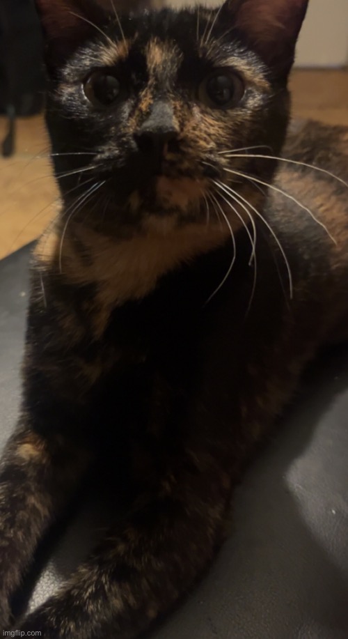 headin back home from biker rally i got two rings | made w/ Imgflip meme maker