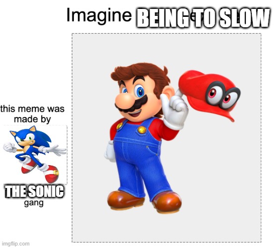 i like both | BEING TO SLOW; THE SONIC | image tagged in meme gang,mario,sonic,super smash bros,nintendo,sega | made w/ Imgflip meme maker