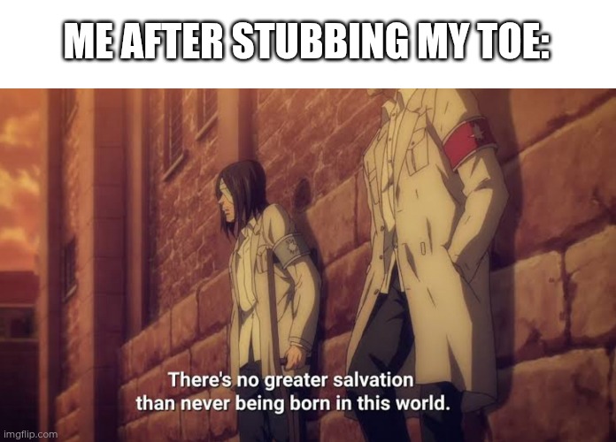 One of the most painful things you can experience... | ME AFTER STUBBING MY TOE: | image tagged in there's no greater salvation than never being born in this world | made w/ Imgflip meme maker