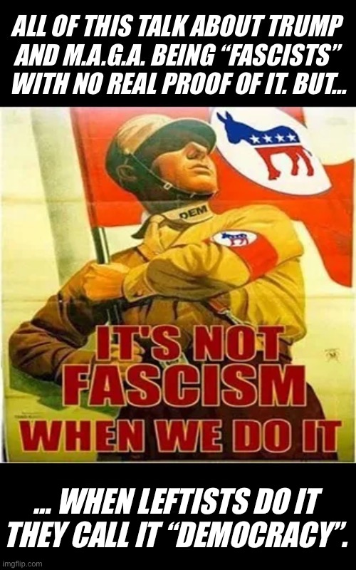 Leftists are the real extremists… | … WHEN LEFTISTS DO IT 
THEY CALL IT “DEMOCRACY”. | image tagged in political meme,democrats,its not fascism when they do it,democracy,extremists,fascists | made w/ Imgflip meme maker