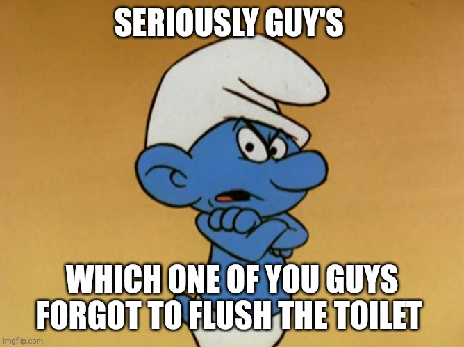 Grouchy Smurf | SERIOUSLY GUY'S; WHICH ONE OF YOU GUYS FORGOT TO FLUSH THE TOILET | image tagged in grouchy smurf | made w/ Imgflip meme maker