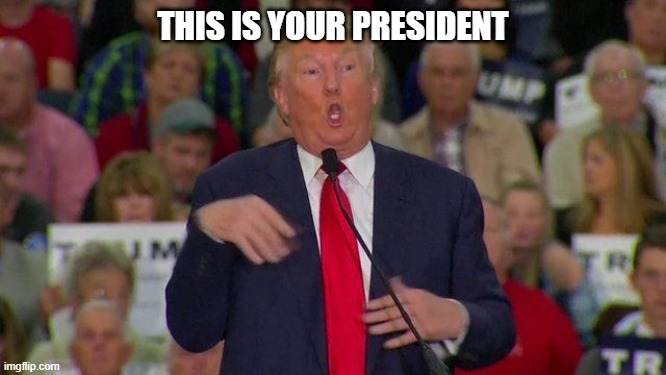 THIS IS YOUR PRESIDENT | image tagged in trump retard | made w/ Imgflip meme maker