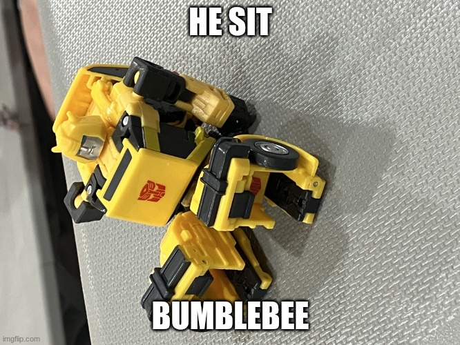 bumblebee sit | HE SIT; BUMBLEBEE | image tagged in bumblebee sit | made w/ Imgflip meme maker