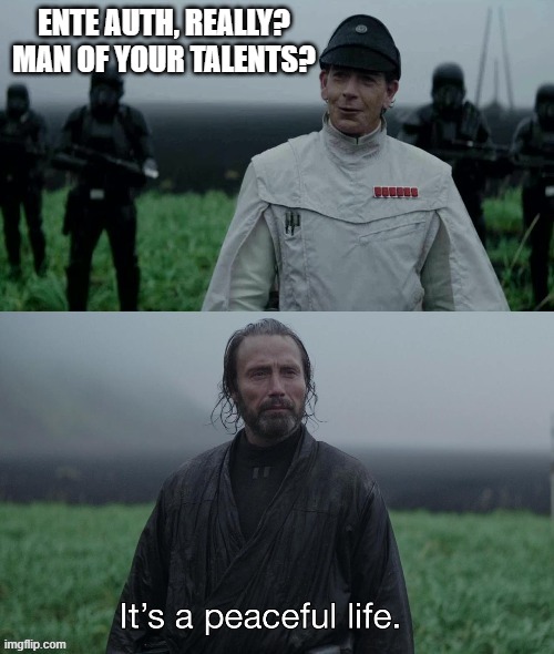 peaceful life | ENTE AUTH, REALLY? MAN OF YOUR TALENTS? | image tagged in peaceful life | made w/ Imgflip meme maker