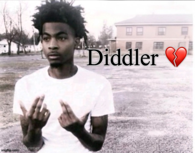 Diddler ? | image tagged in sybau blank with positioned text | made w/ Imgflip meme maker