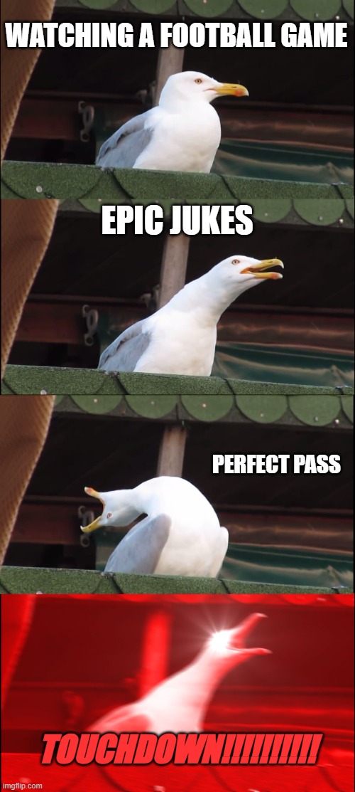 TOUCHDOWN | WATCHING A FOOTBALL GAME; EPIC JUKES; PERFECT PASS; TOUCHDOWN!!!!!!!!!! | image tagged in memes,inhaling seagull,football,fun,lol so funny | made w/ Imgflip meme maker