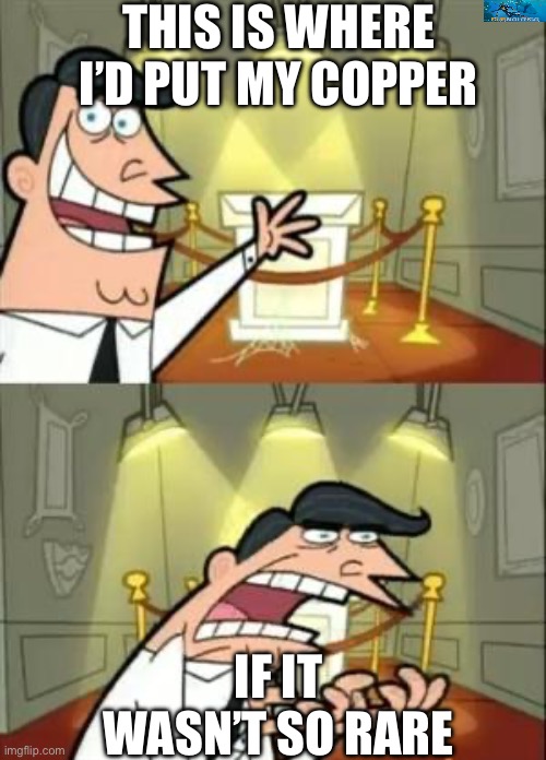 This Is Where I'd Put My Trophy If I Had One | THIS IS WHERE I’D PUT MY COPPER; IF IT WASN’T SO RARE | image tagged in memes,this is where i'd put my trophy if i had one | made w/ Imgflip meme maker