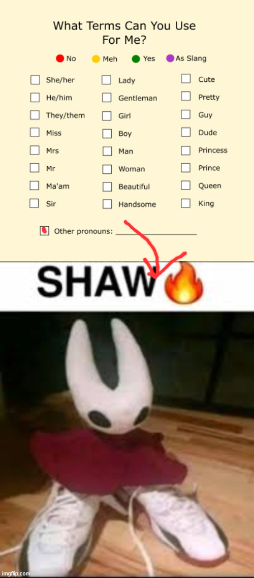 image tagged in pronouns sheet,shaw meme silksong | made w/ Imgflip meme maker