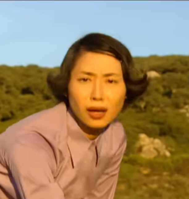 Pissed off Auntie Blank Meme Template