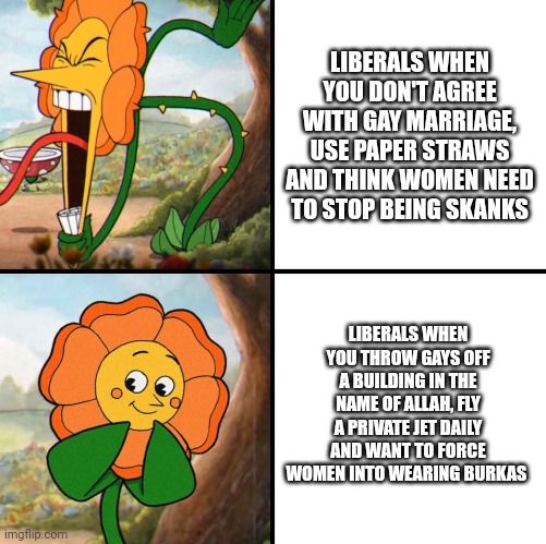 angry flower | LIBERALS WHEN YOU DON'T AGREE WITH GAY MARRIAGE, USE PAPER STRAWS AND THINK WOMEN NEED TO STOP BEING SKANKS; LIBERALS WHEN YOU THROW GAYS OFF A BUILDING IN THE NAME OF ALLAH, FLY A PRIVATE JET DAILY AND WANT TO FORCE WOMEN INTO WEARING BURKAS | image tagged in angry flower | made w/ Imgflip meme maker