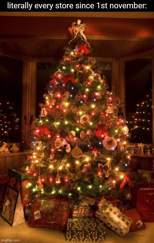 1st november is crazy | literally every store since 1st november: | image tagged in memes,christmas tree,funny,november,crazy,wtf | made w/ Imgflip meme maker