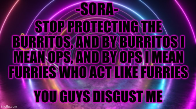 -Sora- template | STOP PROTECTING THE BURRITOS, AND BY BURRITOS I MEAN OPS, AND BY OPS I MEAN FURRIES WHO ACT LIKE FURRIES; YOU GUYS DISGUST ME | image tagged in -sora- template | made w/ Imgflip meme maker