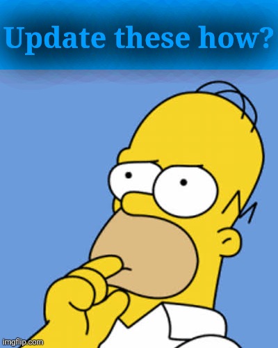 Homer Pondering | Update these how? | image tagged in homer pondering | made w/ Imgflip meme maker