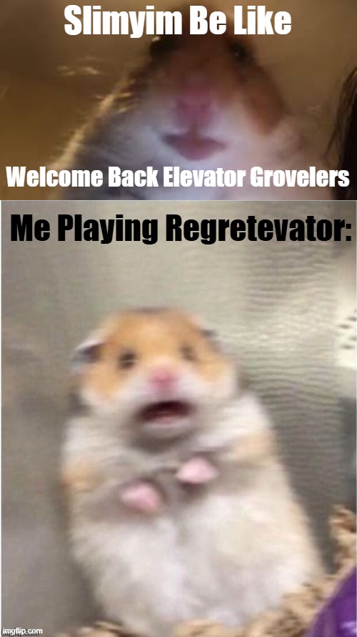 Regretevator meme HA! | Slimyim Be Like; Welcome Back Elevator Grovelers; Me Playing Regretevator: | image tagged in hampster call | made w/ Imgflip meme maker