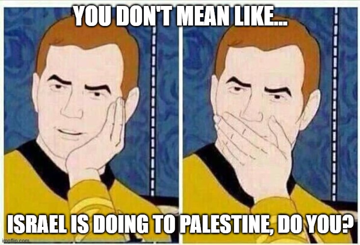 star trek mouth covered | YOU DON'T MEAN LIKE... ISRAEL IS DOING TO PALESTINE, DO YOU? | image tagged in star trek mouth covered | made w/ Imgflip meme maker