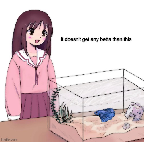 image tagged in azumanga daioh | made w/ Imgflip meme maker