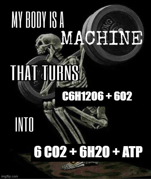 My body is machine | C6H12O6 + 6O2; 6 CO2 + 6H2O + ATP | image tagged in my body is machine | made w/ Imgflip meme maker