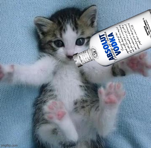 I love you this much  | image tagged in i love you this much | made w/ Imgflip meme maker