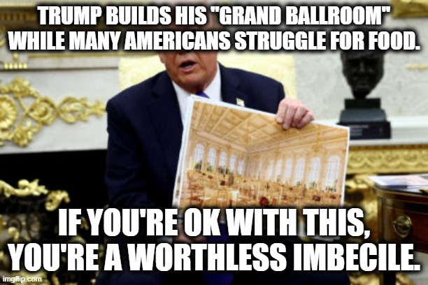 ok? | TRUMP BUILDS HIS "GRAND BALLROOM" WHILE MANY AMERICANS STRUGGLE FOR FOOD. IF YOU'RE OK WITH THIS, YOU'RE A WORTHLESS IMBECILE. | image tagged in donald trump | made w/ Imgflip meme maker
