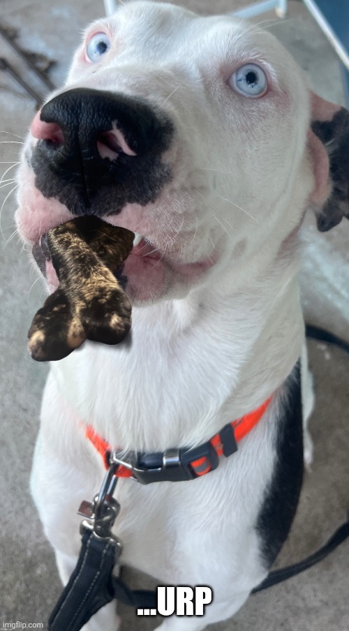 ...URP | made w/ Imgflip meme maker