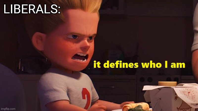 It defines who I am | LIBERALS: | image tagged in it defines who i am | made w/ Imgflip meme maker