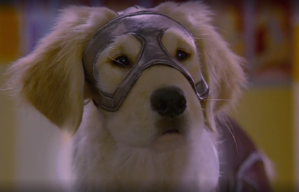 BDawg Blank Meme Template