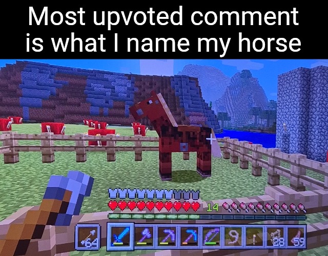 Have mercy ;-; | Most upvoted comment is what I name my horse | made w/ Imgflip meme maker