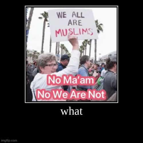 what | | image tagged in funny,demotivationals | made w/ Imgflip demotivational maker