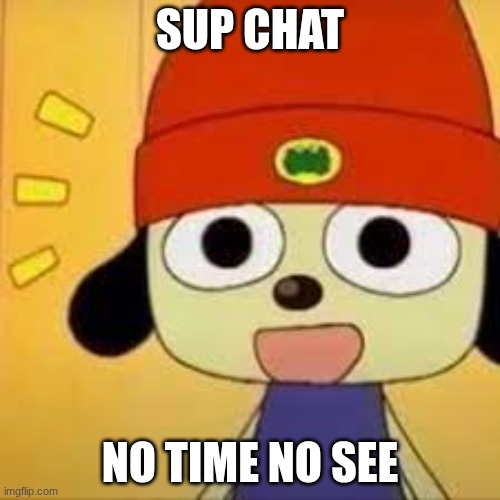 SUP EVERYONEEEE | SUP CHAT; NO TIME NO SEE | image tagged in parappa,hi | made w/ Imgflip meme maker