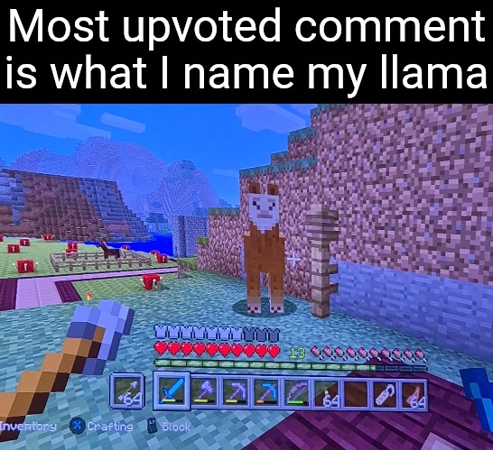 Most upvoted comment is what I name my llama | made w/ Imgflip meme maker