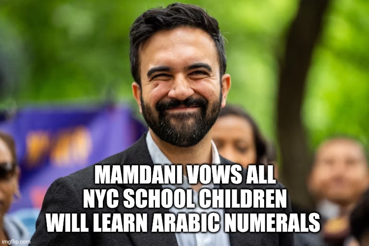 Zohran Mamdani grinning | MAMDANI VOWS ALL NYC SCHOOL CHILDREN WILL LEARN ARABIC NUMERALS | image tagged in zohran mamdani grinning | made w/ Imgflip meme maker