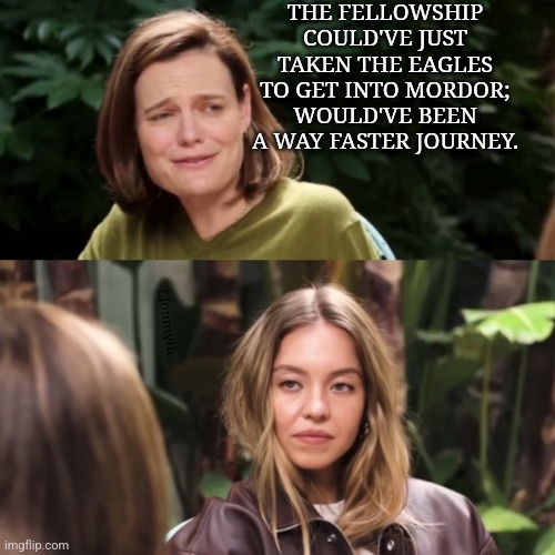 Oh the ignorance | THE FELLOWSHIP COULD'VE JUST TAKEN THE EAGLES TO GET INTO MORDOR; WOULD'VE BEEN A WAY FASTER JOURNEY. Lionmyth | image tagged in sydney sweeny no,lord of the rings,the one ring,the eagles | made w/ Imgflip meme maker