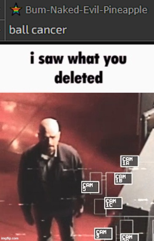 image tagged in i saw what you deleted | made w/ Imgflip meme maker