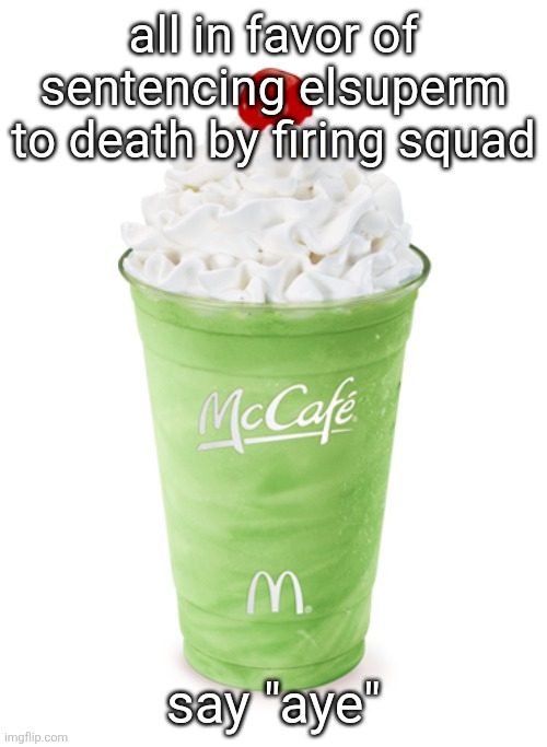 aye | all in favor of sentencing elsuperm to death by firing squad; say "aye" | image tagged in shamrock shake | made w/ Imgflip meme maker