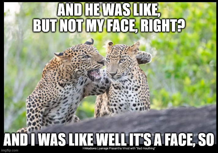 AND HE WAS LIKE, BUT NOT MY FACE, RIGHT? AND I WAS LIKE WELL IT'S A FACE, SO | made w/ Imgflip meme maker