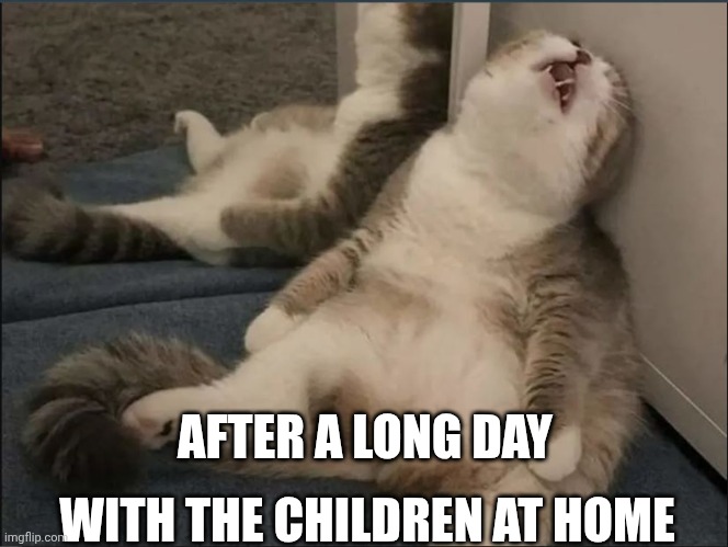 Gato cansado | AFTER A LONG DAY; WITH THE CHILDREN AT HOME | image tagged in gato cansado | made w/ Imgflip meme maker