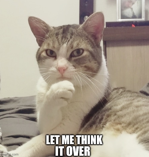 Pelangocho | LET ME THINK; IT OVER | image tagged in pelangocho | made w/ Imgflip meme maker