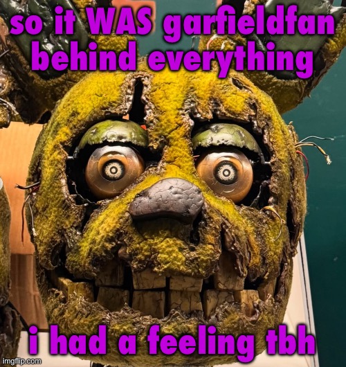 spingletap | so it WAS garfieldfan behind everything; i had a feeling tbh | image tagged in spingletap | made w/ Imgflip meme maker