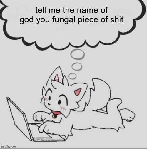 ; | tell me the name of god you fungal piece of shit | image tagged in huh guh hwuh | made w/ Imgflip meme maker