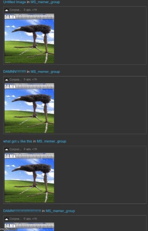 Insanity | image tagged in insanity | made w/ Imgflip meme maker