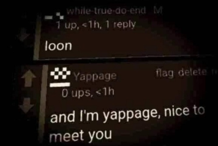 loon | image tagged in loon | made w/ Imgflip meme maker