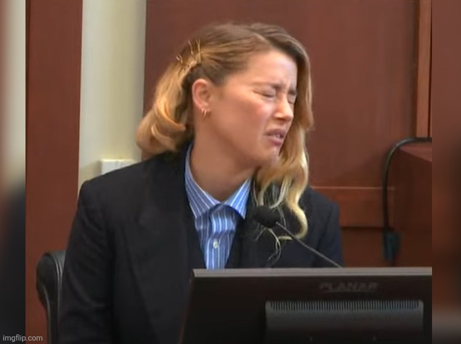 Amber Heard Dog Stepped on a Bee | image tagged in amber heard dog stepped on a bee | made w/ Imgflip meme maker