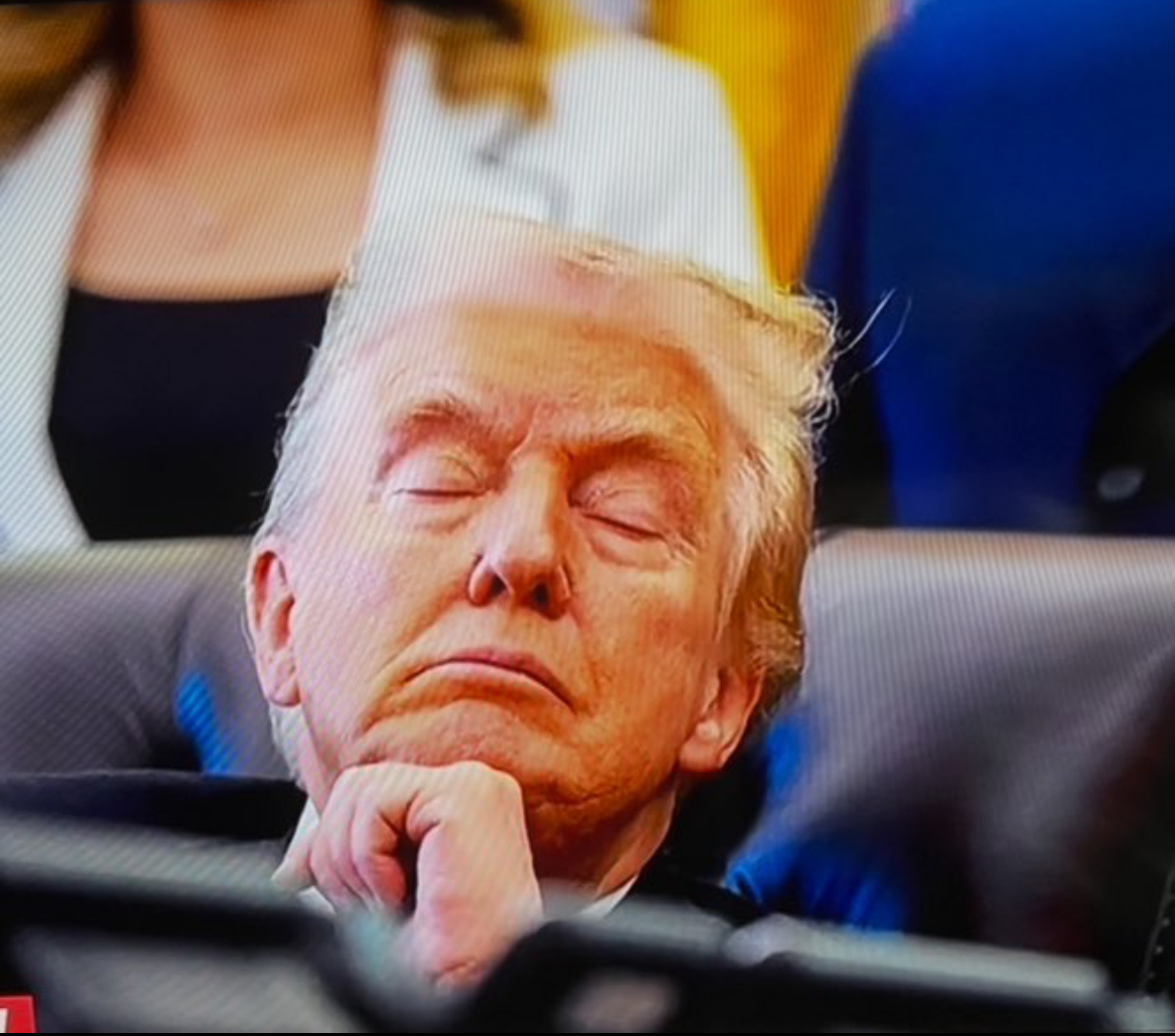 Trump Asleep Blank Meme Template