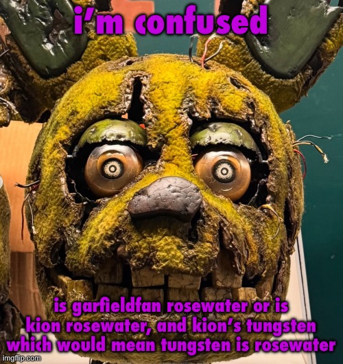 so it was tungsten after all. huh | i’m confused; is garfieldfan rosewater or is kion rosewater, and kion’s tungsten which would mean tungsten is rosewater | image tagged in spingletap | made w/ Imgflip meme maker