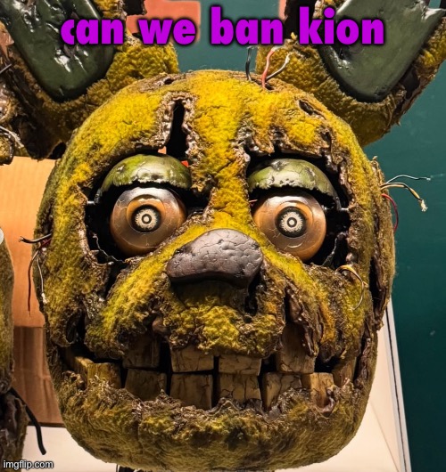 foxy501 was right all along | can we ban kion | image tagged in spingletap | made w/ Imgflip meme maker